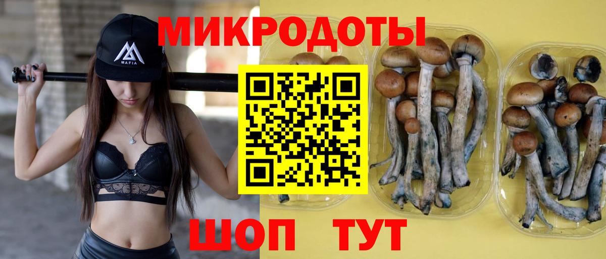 закладки  Вход с VPN  Лыткарино  Галлюциногенные грибы Psilocybine cubensis 