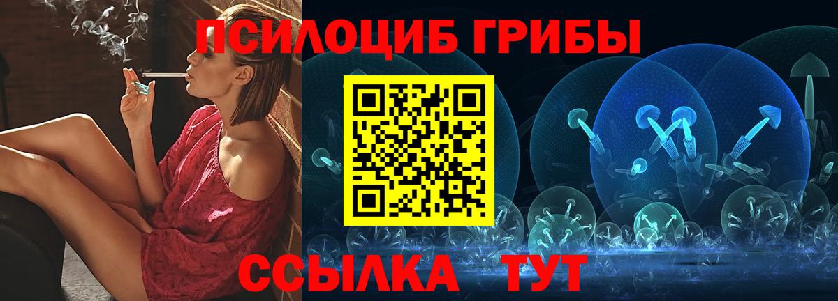 Псилоцибиновые грибы мицелий Лыткарино